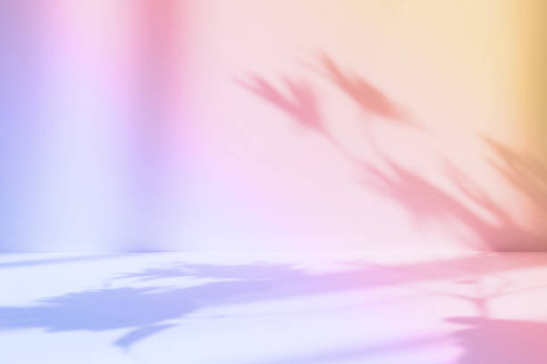 istock Abstract gradient pink studio background for product presentation. Empty room with shadows of window and flowers and palm leaves . 3d room with copy space. Summer concert. Blurred backdrop. 1392386302
