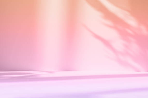 istock Abstract gradient pink studio background for product presentation. Empty room with shadows of window and flowers and palm leaves . 3d room with copy space. Summer concert. Blurred backdrop. 1392387027