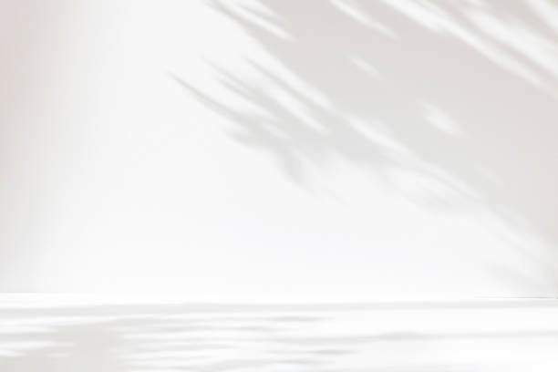 istock Abstract white studio background for product presentation. Empty room with shadows of window and flowers and palm leaves . 3d room with copy space. Summer concert. Blurred backdrop. 1392387581