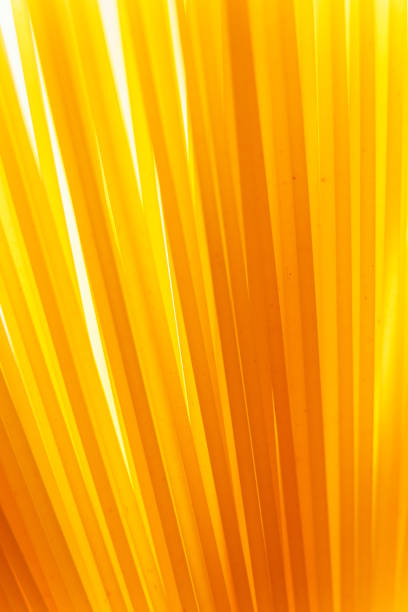 istock Close up background of spaghetti pasta 1392387860