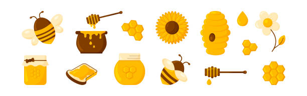 ilustraciones, imágenes clip art, dibujos animados e iconos de stock de conjunto vectorial de miel, abeja de dibujos animados, panal, maceta, colmena, frasco, flor, comida. juego de productos dulces. linda ilustración de colmenar - spoon honey cute jar