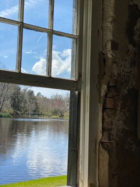 istock view from  a window overlooking trees and a lake 1392389362