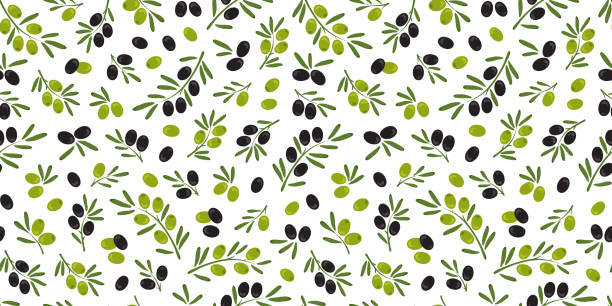 オリー��ブベクターシームレスパターン、緑と黒の果実、枝と葉、イタリアまたはギリシャの背景。自然イラスト - olive tree tree olive leaf点のイラスト素材／クリップアート素材／マンガ素材／アイコン素材