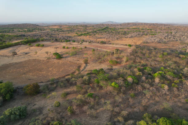 istock Meadow landscape in dry season 1392390520
