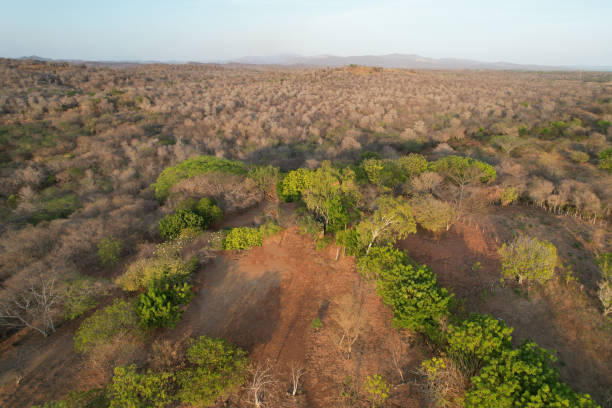 istock Valley in dry season aerial view 1392390523