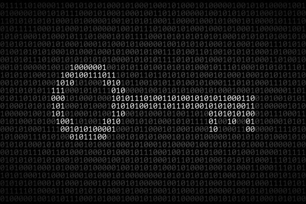 어두운 바이너리 코드 위에 제로와 것들로 만든 흰색 키 - password computer key key computer keyboard stock illustrations