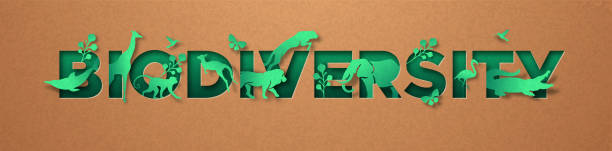 Biodiversity green paper cut animal nature concept Biodiversity green papercut sign, realistic 3d recycled paper texture cutout. Diverse wild animals and plant leaf for eco friendly concept. Includes lion, giraffe, elephant, monkey. biodiversity stock illustrations
