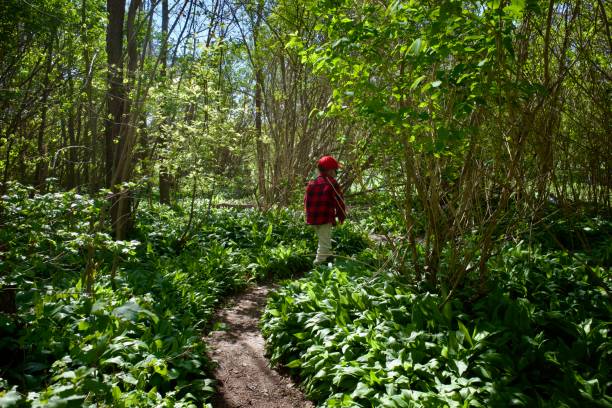 istock A boy walks in the wild garlic garden 1392395245