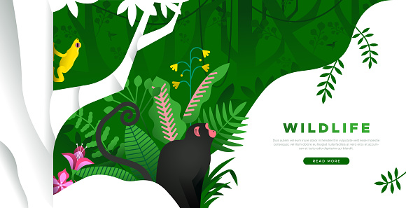 Wildlife landing page template of jungle monkey