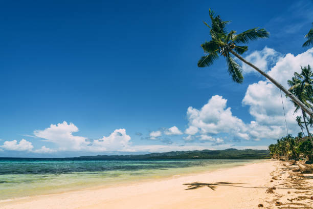 Coastal scene near General Luna / Cloud Nine, Siargao Island in the Philippines