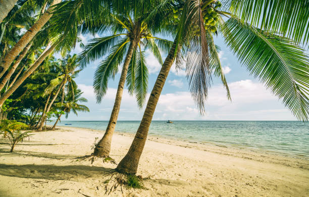istock beautiful beaches on Siquijor island Philippines 1392397119