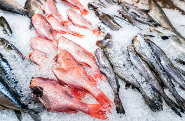 istock Frozen fish in ice ready for sale 1392399938