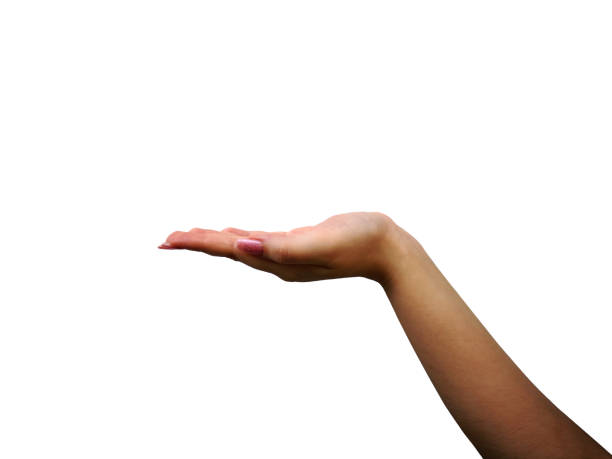 istock Female arm and hand with long manicured nails in grateful movement in plain (white) background. Gesture to give, take, present, hold, show or support. Presentation, demonstration, solution 1392406388