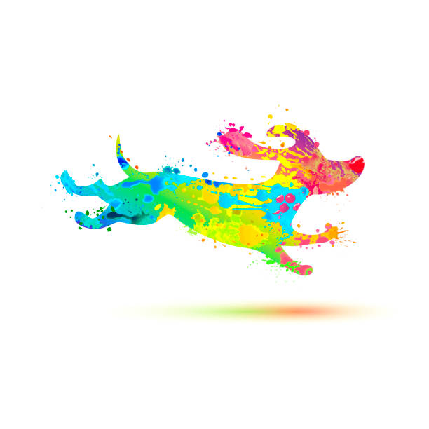 Running dachshund icon. Watercolor splash paint dog Running dachshund vector icon. Watercolor splash paint dog symbol dog splashing stock illustrations