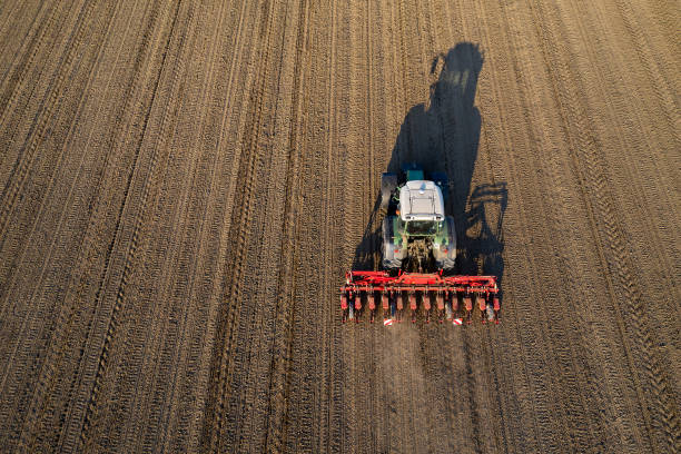 istock Tractor Cultivating and Sowing Field 1392408784