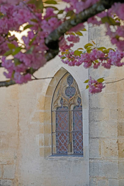 finestra nella chiesa e fiore di ciliegio, francia - french renaissance foto e immagini stock