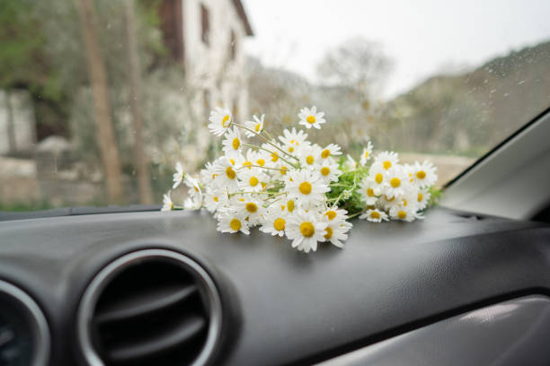 istock A bouquet of daisies lying on the car 1392411105