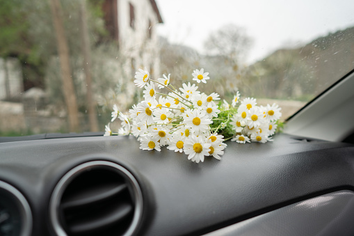 A bouquet of daisies lying on the car