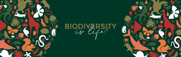 ilustrações de stock, clip art, desenhos animados e ícones de wild animal biodiversity life concept banner - biodiversity