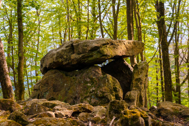 detalle del dolmen aitzetako txabala en el país vasco en primavera. errenteria, gipuzkoa - dolmen stone grave ancient fotografías e imágenes de stock