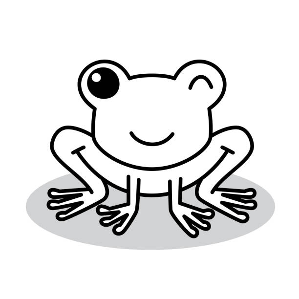 Cute Frog Doodle 5 Vector illustration of a hand drawn black and white frog against a white background. cartoon of a frog black and white stock illustrations