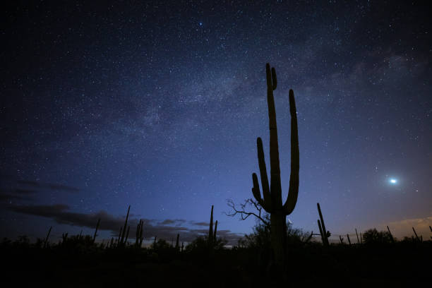 istock Milky Way Passing Over Arizona Desert 1392417320