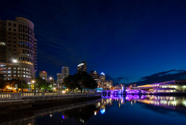 istock Downtown Tampa at Night 1392417374