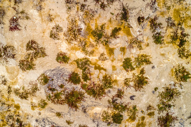 istock Pan-american wayroad, Peru 1392421666