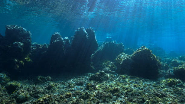 istock Dream landscape underwater in rays of sunlight 1392425308