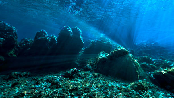istock Dream landscape underwater in rays of sunlight 1392426128