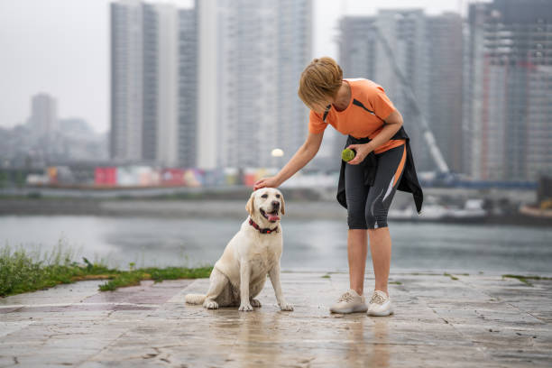 istock You are a good boy 1392428711