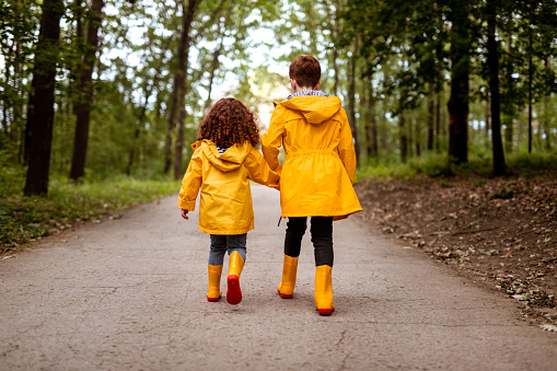 Back view of anonymous ginger brother and sister in raincoats holding hands and walking on asphalt path on rainy day in forest