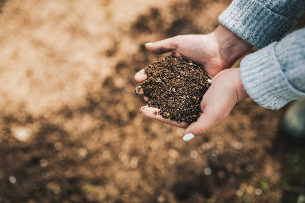 sauvez le sol! - humus soil photos et images de collection