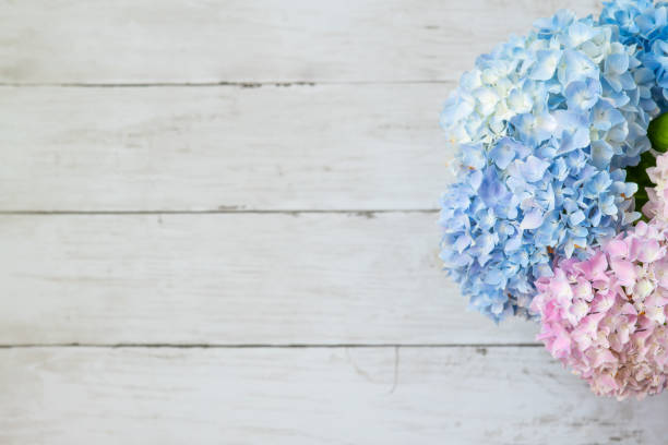 Beautiful floral background with copy space  for Mother's Day or International Woman's Day.