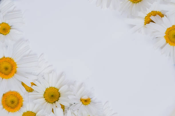 istock Happy Mother's Day Floral Background with copy space for text. 1392431832