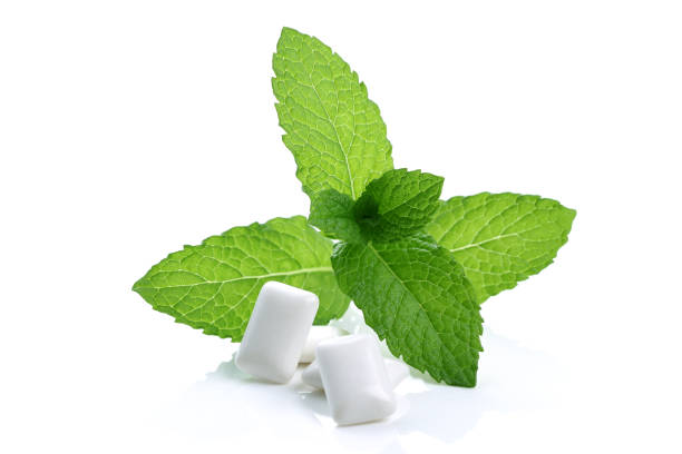Chewing gum pads with mint leaves on white background.