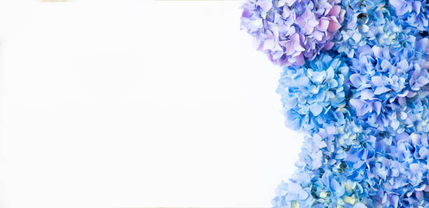 Beautiful floral background with copy space  for Mother's Day or International Woman's Day.