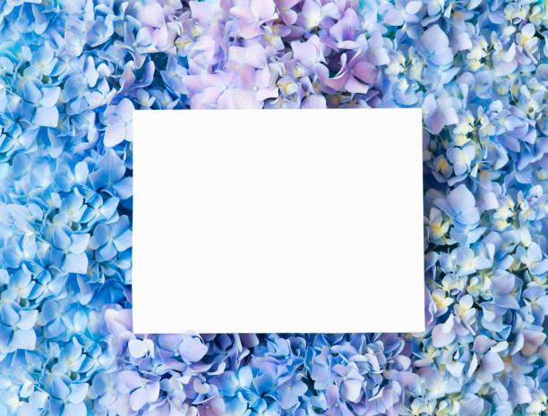 Beautiful floral background with copy space  for Mother's Day or International Woman's Day.