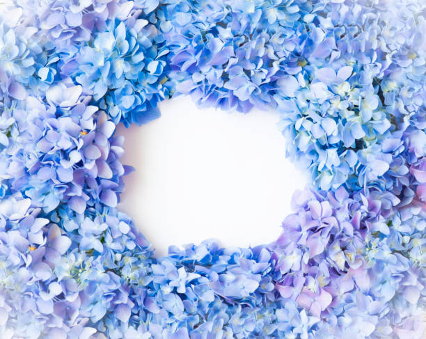 istock Happy Mother's Day Floral Hydrangea Background with copy space for text. 1392432056