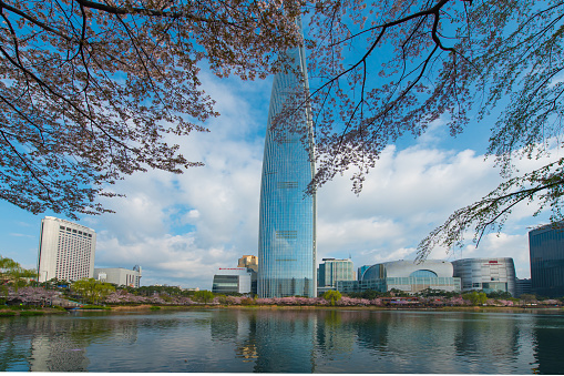 Seokchon lake park and Lotte World Tower in spring at South Korea.