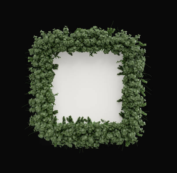 istock square Blank page covered with leaves, greeting and social media post card, 3d Rendering 1392440852