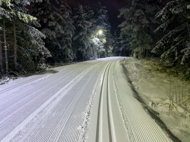 istock Cross country ski track seen at night 1392447487
