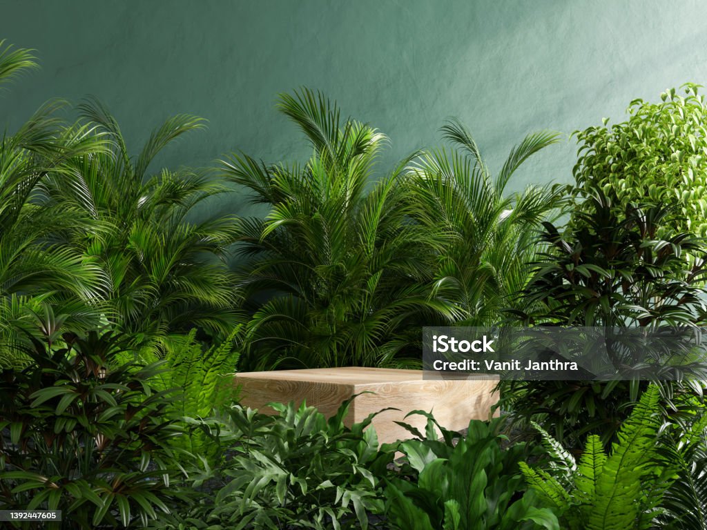 Wooden podium in tropical forest for product presentation and green wall. Wooden podium in tropical forest for product presentation and green wall.3d rendering Nature Stock Photo