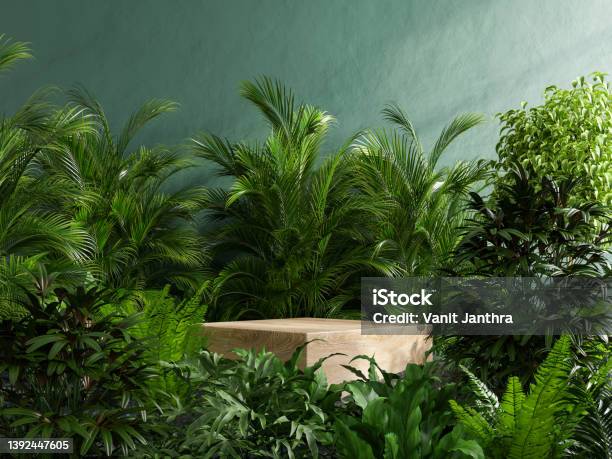 Wooden Podium In Tropical Forest For Product Presentation And Green Wall Stock Photo - Download Image Now