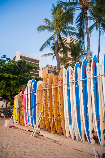 Honolulu - July 18, 2011 : Surfboards for rent in Waikiki beach