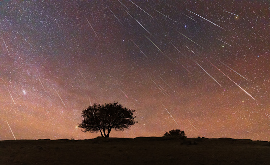 A tree in the prairie under the Geminid meteor shower