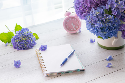 Empty Notepad and pen on the wooden table with Hydrangea blooming flowers on the background with copy space