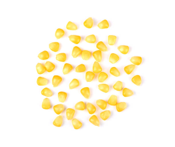 istock Delicious corn seeds isolated on white background. 1392453667
