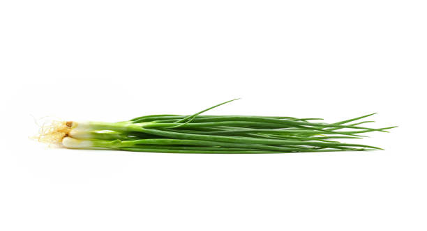 cipollotto isolato su fondo bianco - chive herb isolated freshness foto e immagini stock