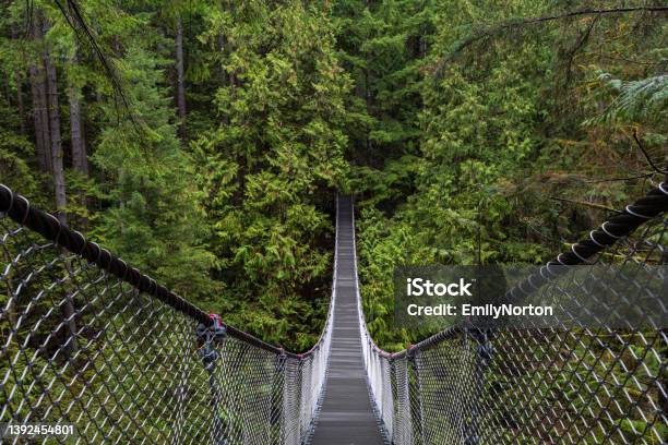 Lynn Canyon Park Stock Photo - Download Image Now - British Columbia, Canyon, Canada